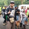 Ratusan Pemburu Kepung Babi di Hutan Parakan